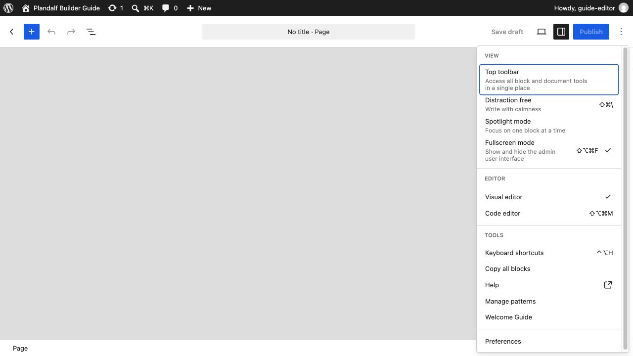 WordPress editor Options menu