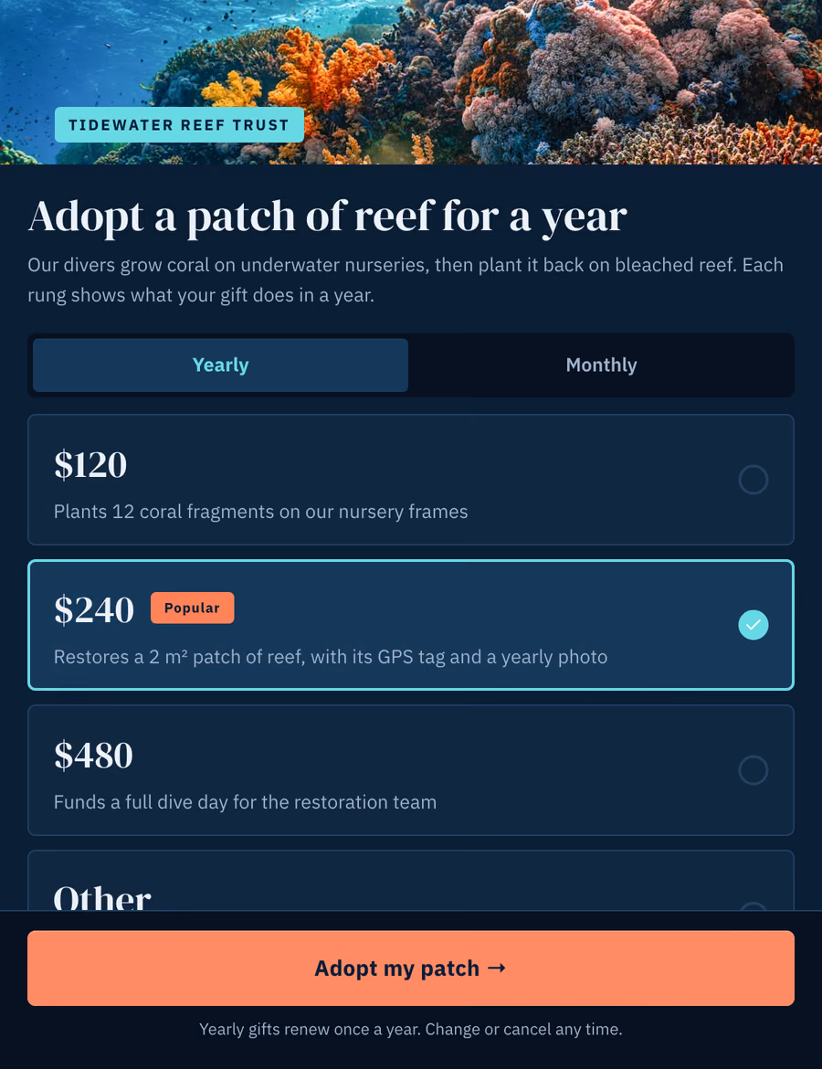 Yearly Impact Ladder checkout